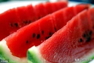 吃瓜娱乐菌 第3张 吃瓜娱乐菌 第3张