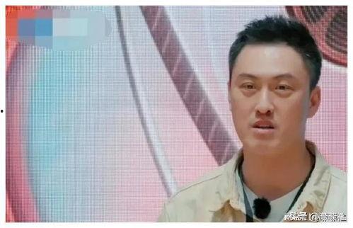 娱乐圈爆料吃瓜视频,吃瓜视频背后的惊人真相  第3张