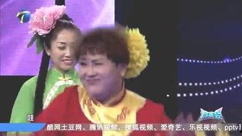 娱乐吃瓜君选秀明星,娱乐吃瓜君带你揭秘娱乐圈的璀璨星途  第2张