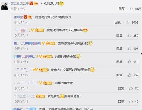 娱乐吃瓜798网址在线观看,独家在线观看盛宴 第3张 娱乐吃瓜798网址在线观看,独家在线观看盛宴 第3张