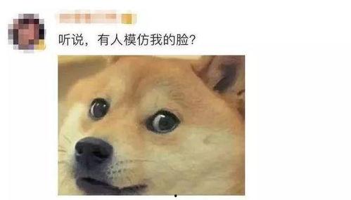 微信吃瓜小表情突然没有了,网友热议原因揭秘 第3张 微信吃瓜小表情突然没有了,网友热议原因揭秘 第3张