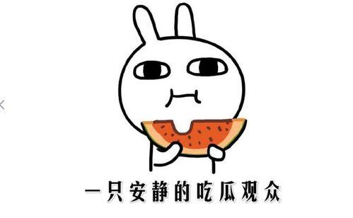 一起吃瓜是什么意思,网络热词背后的社交现象 第2张 一起吃瓜是什么意思,网络热词背后的社交现象 第2张