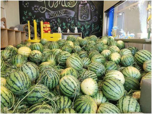 吃瓜观娱乐,吃瓜群众视角下的明星八卦 第2张 吃瓜观娱乐,吃瓜群众视角下的明星八卦 第2张